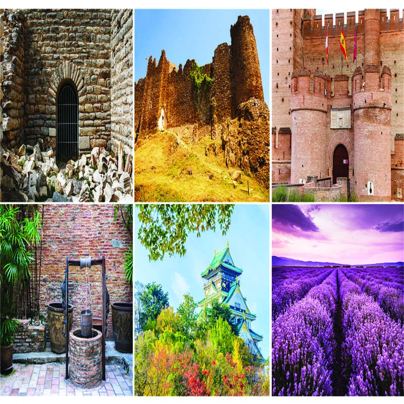 Vinyl Custom Photography Backdrops Prop Castle and Scenery Theme Photography Background #20228-01 
Vinyl Custom Photography Backdrops Prop Castle and Scenery Theme Photography Background #20228-01