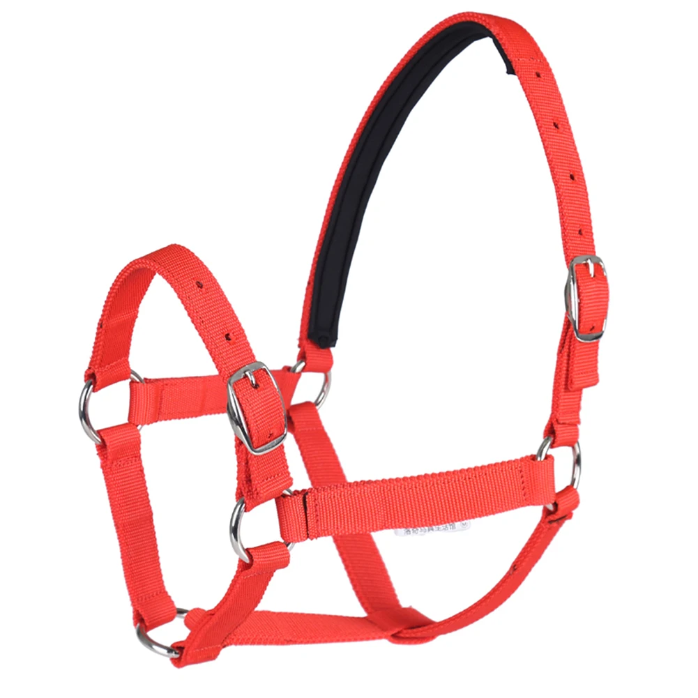 Horse Riding Thickened Horse Head Collar Adjustable Safety Halter Bridle Headcollar Racing Horse Equipment Training Rope Horse Riding Thickened Horse Head Collar Adjustable Safety Halter Bridle Headcollar Racing Horse Equipment Training Rope