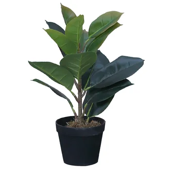 Simulation Green Plant Adornment Lifelike Ficus Pandurata Hance Photography Props DIY Craft for Wedding Home Decoration(Green)
Simulation Green Plant Adornment Lifelike Ficus Pandurata Hance Photography Props DIY Craft for Wedding Home Decoration(Green)