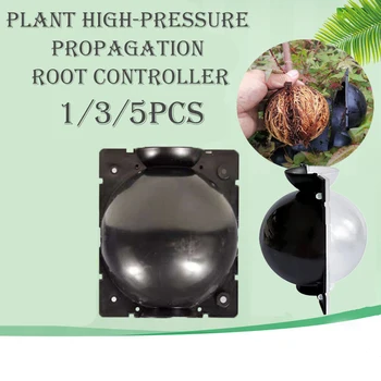 Plant Rooting Ball Grafting Reusable Convenient Plant Rooting Growing Box Device Breeding Case For Garden Roses Fruit Trees
Plant Rooting Ball Grafting Reusable Convenient Plant Rooting Growing Box Device Breeding Case For Garden Roses Fruit Trees