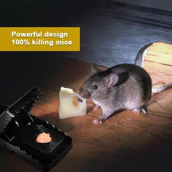 2pcs/Set Reusable Effective Durable Mice Catcher Rat Trap Mousetrap Prop Accessories Catching Tools Home
2pcs/Set Reusable Effective Durable Mice Catcher Rat Trap Mousetrap Prop Accessories Catching Tools Home