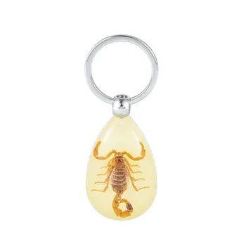 Key Holder Hanging decorative ornaments Handbag Wallet Pendant Creative Scorpion Keychain Scorpion Amber Pendant
Key Holder Hanging decorative ornaments Handbag Wallet Pendant Creative Scorpion Keychain Scorpion Amber Pendant