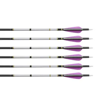 Lot 15pcs Archery Arrow Wraps Heat Shrinkable Universal Arrow Wraps for Arrow Shaft Hunting DIY Making Accessory 
Lot 15pcs Archery Arrow Wraps Heat Shrinkable Universal Arrow Wraps for Arrow Shaft Hunting DIY Making Accessory