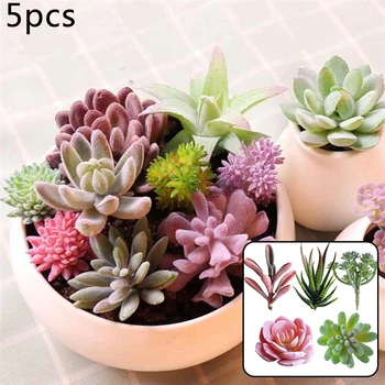 5pcs Simulation Plant Aloe Rose Home Living Room Office Table Decorations Photo Shoot Props Artificial Flowers
5pcs Simulation Plant Aloe Rose Home Living Room Office Table Decorations Photo Shoot Props Artificial Flowers