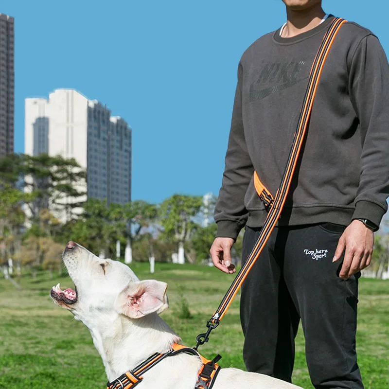 Многофункциональный регулируемый поводок для собак Truelove 7 в 1 дрессировки без рук