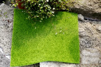 Simulation Green Lawn Meadow Lichen False Moss Miniature DIY Photography Shooting Background Adornment Photo Studio Accessories
Simulation Green Lawn Meadow Lichen False Moss Miniature DIY Photography Shooting Background Adornment Photo Studio Accessories