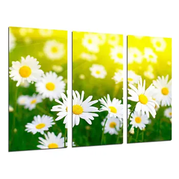 Landscape Field of Daisies Flowers photo print on wood, modern picture decorative 26505
Landscape Field of Daisies Flowers photo print on wood, modern picture decorative 26505