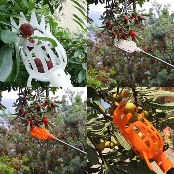 ANENG Plastic Fruit Picker Basket Head Catcher Gardening Tool for Harvest Picking Apple Mango Pear Peach Small Fruits
ANENG Plastic Fruit Picker Basket Head Catcher Gardening Tool for Harvest Picking Apple Mango Pear Peach Small Fruits