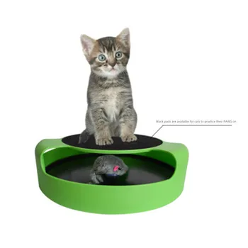 2 In1 Cat Toys Interactive With Running Mice And Scratching Pad Durable Safe Kitten Cat Game Exercise No Battery Needed
2 In1 Cat Toys Interactive With Running Mice And Scratching Pad Durable Safe Kitten Cat Game Exercise No Battery Needed