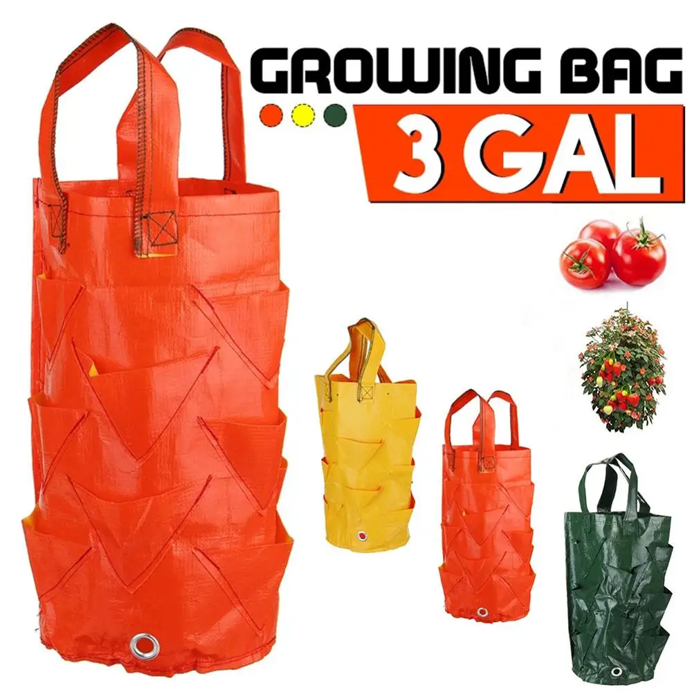 PE Strawberry Bag Beauty Planting Ba Vanilla Tree Planting Bag Gardening Seedling Strawberry Planting Bag
PE Strawberry Bag Beauty Planting Ba Vanilla Tree Planting Bag Gardening Seedling Strawberry Planting Bag