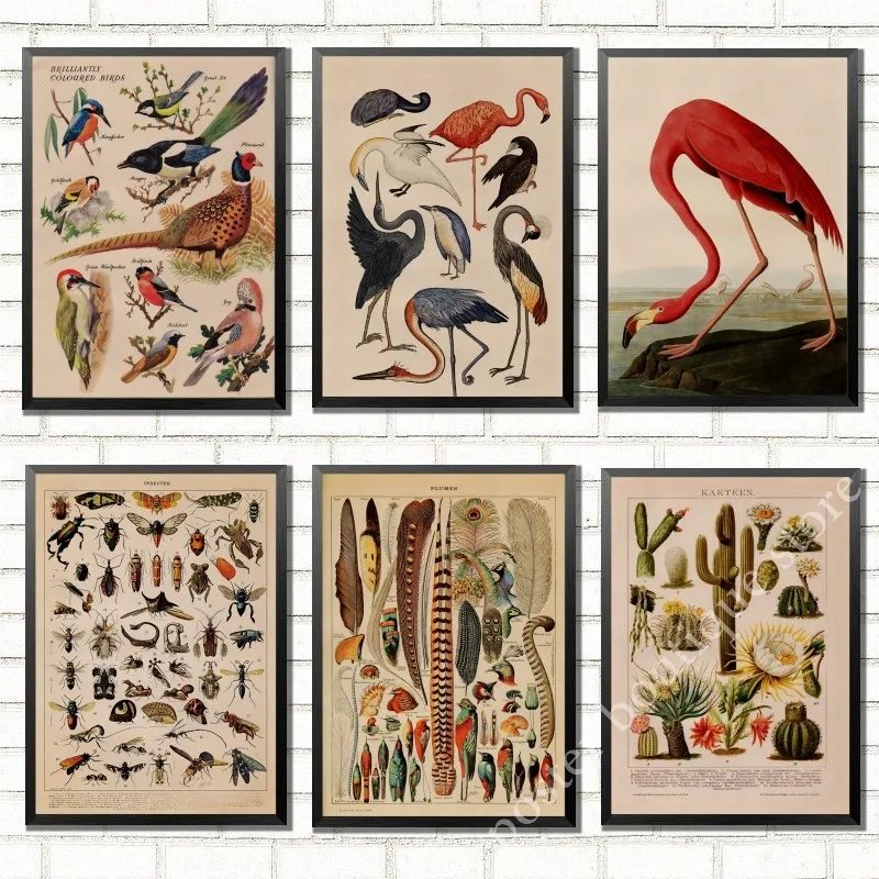 Birds Dinosaur Vegetable Educational Identification Background Pattern Posters Wall Stickers For Living Room Home Decoration/2
Birds Dinosaur Vegetable Educational Identification Background Pattern Posters Wall Stickers For Living Room Home Decoration/2