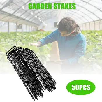 50PCS/lot Heavy-Duty Pins U-Shaped Garden Stakes Ground Grass Lawn Turf Galvanized Pegs Fastening Landscape Pins Garden Stakes
50PCS/lot Heavy-Duty Pins U-Shaped Garden Stakes Ground Grass Lawn Turf Galvanized Pegs Fastening Landscape Pins Garden Stakes