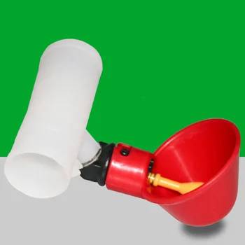 3 Pcs Automatic Chicken Quail Pigeon Drinker Drinking Water Poultry Drinking Water Bowl Farm Farming Equipment
3 Pcs Automatic Chicken Quail Pigeon Drinker Drinking Water Poultry Drinking Water Bowl Farm Farming Equipment