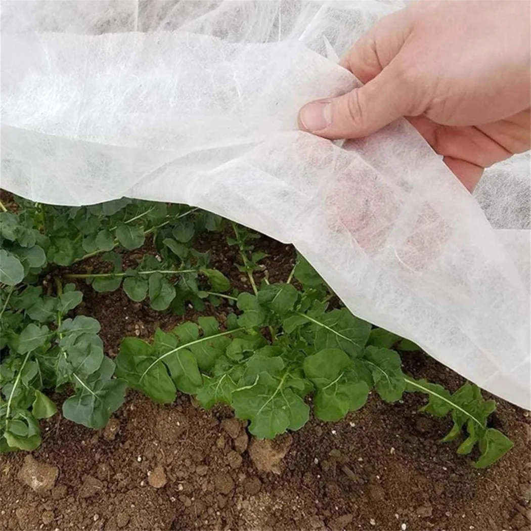 5X33FT Garden Frost Winter Plant Protection Cover From Birds And Insects Non Woven Plant Protective Cover Winter Cold Protection
5X33FT Garden Frost Winter Plant Protection Cover From Birds And Insects Non Woven Plant Protective Cover Winter Cold Protection