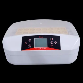 32-Egg Practical Fully Automatic Poultry Incubator with Egg Candler US Plug US Stock
32-Egg Practical Fully Automatic Poultry Incubator with Egg Candler US Plug US Stock