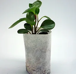 100 pieces of degradable seedlings environmental protection non-woven seedling bags garden supplies green bags
100 pieces of degradable seedlings environmental protection non-woven seedling bags garden supplies green bags