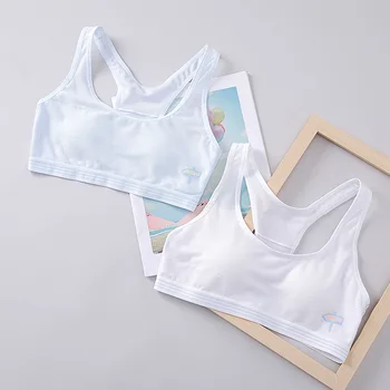 Summer Anti-Exposure Short Lace Tube Top GIRL'S Base Wrap-around Vest Strapless without Chest Pad Bra Underwear Thin
Summer Anti-Exposure Short Lace Tube Top GIRL'S Base Wrap-around Vest Strapless without Chest Pad Bra Underwear Thin