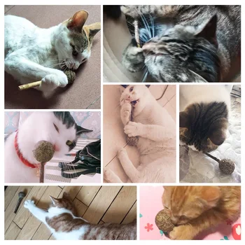 1Pc Cat Catnip Lollipop Cat Cleaning Teeth Natural Catnip Ball Pet Cat Toothpaste Matatabi Silvervine Cat Snacks Sticks 12*3.5cm
1Pc Cat Catnip Lollipop Cat Cleaning Teeth Natural Catnip Ball Pet Cat Toothpaste Matatabi Silvervine Cat Snacks Sticks 12*3.5cm
