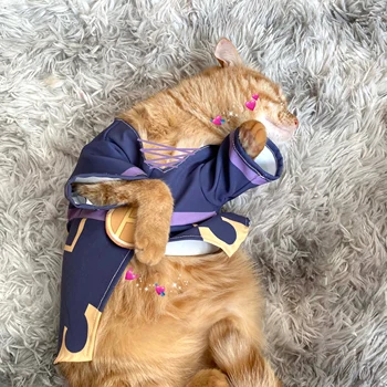 JoJo's Bizarre Adventure JOJO's Wonderful Adventure Pet Supplies Leo Apaki Cat Clothes Tea Brother Small Dog Costume Dress Up 
JoJo's Bizarre Adventure JOJO's Wonderful Adventure Pet Supplies Leo Apaki Cat Clothes Tea Brother Small Dog Costume Dress Up