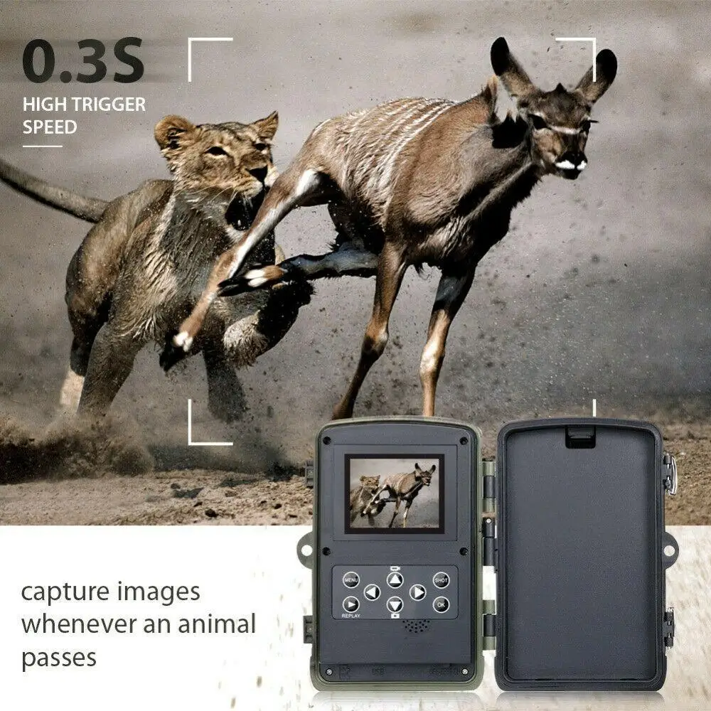 Hunting Camera Trail Cameras HC801A 16MP 1080P IP65 Night Vision 940NM Photo Trap Wireless Wildlife Surveillance Tracking
Hunting Camera Trail Cameras HC801A 16MP 1080P IP65 Night Vision 940NM Photo Trap Wireless Wildlife Surveillance Tracking