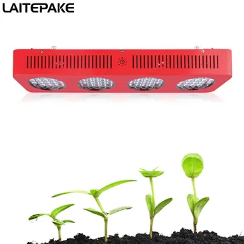 2019 NEW LED Grow Light Full Spectrum 800W Dual chip 44CM long for indoor tent box Hydroponics plant Vegetable herb plant grow
2019 NEW LED Grow Light Full Spectrum 800W Dual chip 44CM long for indoor tent box Hydroponics plant Vegetable herb plant grow