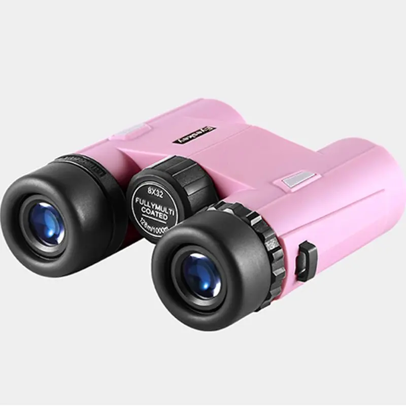 High-definition Mini Digital Video Recording Camera Binoculars Digital Zoom Night Vision Portable Telescope
High-definition Mini Digital Video Recording Camera Binoculars Digital Zoom Night Vision Portable Telescope