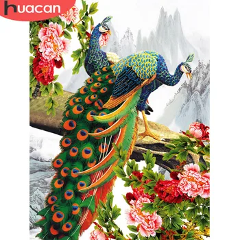 HUACAN 5d Diamond Painting Peacock Animals Picture Of Rhinestone Full Drill Square Diamond Embroidery Decoration Home 
HUACAN 5d Diamond Painting Peacock Animals Picture Of Rhinestone Full Drill Square Diamond Embroidery Decoration Home
