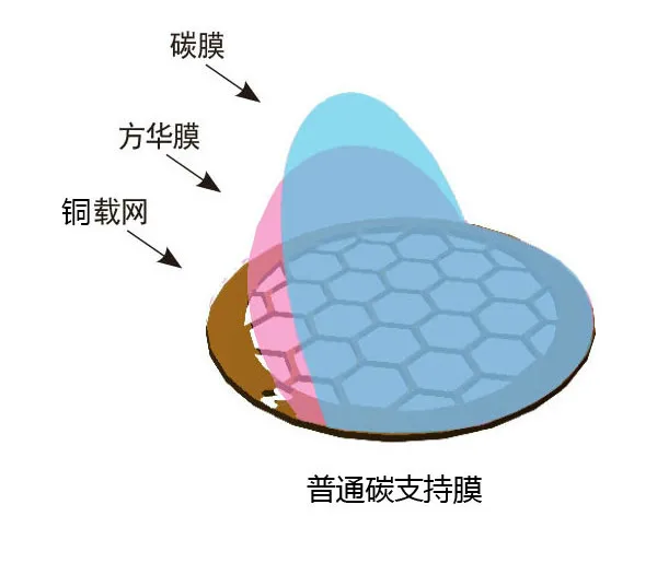 Common Carbon Film Supporting Membrane of 50-400 mesh Copper Mesh for Transmission Electron Microscopy
Common Carbon Film Supporting Membrane of 50-400 mesh Copper Mesh for Transmission Electron Microscopy