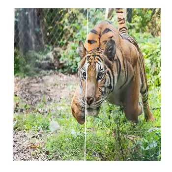 Cartoon Blackout 3D Window Curtain Animal Cushion Curtain 150*166cm 1042423606 Modern Home Decoration
Cartoon Blackout 3D Window Curtain Animal Cushion Curtain 150*166cm 1042423606 Modern Home Decoration
