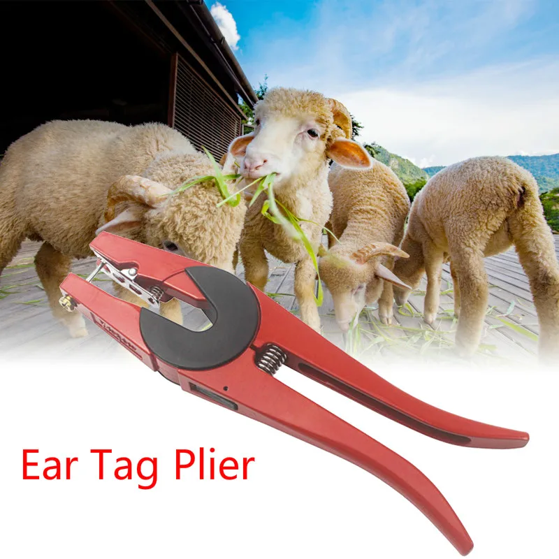 90 Degrees Ear Tag Plier Red Animal Ear Tag Install Tool Applicator Puncher Tagger for Livestock Pigs Sheep Goats Cattles Cows
90 Degrees Ear Tag Plier Red Animal Ear Tag Install Tool Applicator Puncher Tagger for Livestock Pigs Sheep Goats Cattles Cows