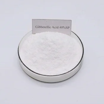 100g gibberellic acid ga3 40% soluble powder Gibberellin
100g gibberellic acid ga3 40% soluble powder Gibberellin