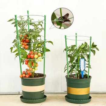 45*18*4cm Plant Support Cage Set Self watering spikes For small to medium plants
45*18*4cm Plant Support Cage Set Self watering spikes For small to medium plants