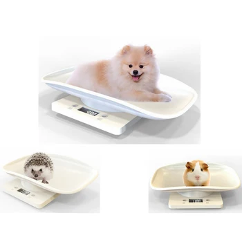 Multi-purpose Digital Small Dog Measure Scale For Small Cat Dogs Birds Hamster
Multi-purpose Digital Small Dog Measure Scale For Small Cat Dogs Birds Hamster