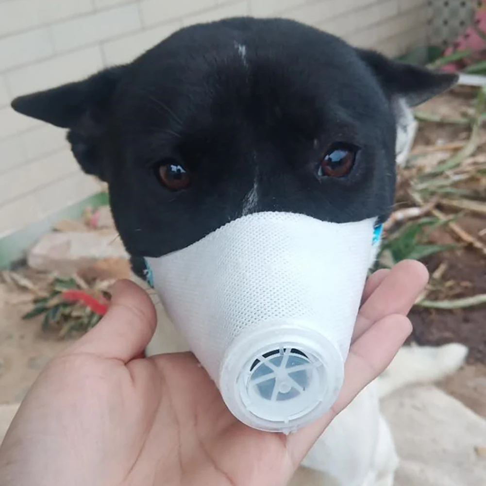 3pcs Dog Muzzles Multi Function Anti Biting Anti Barking Muzzles Portable Anti-fog Haze Anti Dust Gas Pollution Mask Mouth Cover
3pcs Dog Muzzles Multi Function Anti Biting Anti Barking Muzzles Portable Anti-fog Haze Anti Dust Gas Pollution Mask Mouth Cover
