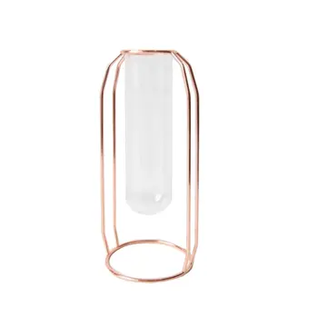 Metal Shelf Glass Vase Hydroponic Glass Pots Flower Vase Decorative Pots Planters Tube Vase
Metal Shelf Glass Vase Hydroponic Glass Pots Flower Vase Decorative Pots Planters Tube Vase