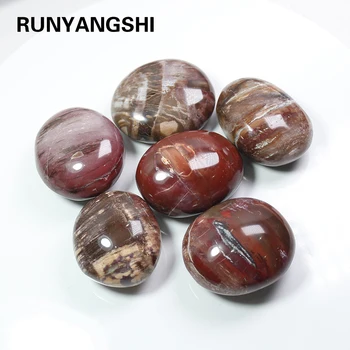 1pc Natural Crystal Fossil wood Raw Gemstone Ornament Polished Quartz Handicraft Fish Tank Decorating Stone Healing Stone
1pc Natural Crystal Fossil wood Raw Gemstone Ornament Polished Quartz Handicraft Fish Tank Decorating Stone Healing Stone