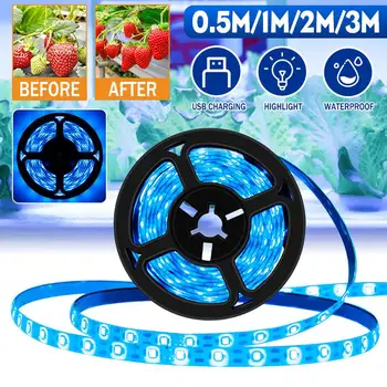 IR Induction LED Plant Growth Light USB Full Spectrum Plant Planting Light Light Strip Waterproof LED Flexible Tape 0.5/1/2/3M
IR Induction LED Plant Growth Light USB Full Spectrum Plant Planting Light Light Strip Waterproof LED Flexible Tape 0.5/1/2/3M