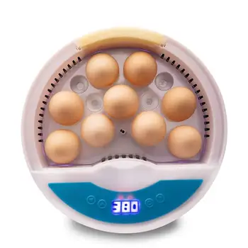Newest Farm Hatchery Incubator Brooder Machine 9 Eggs Brooding Machine Mini Egg Incubator Chicken Duck Poultry Intelligent
Newest Farm Hatchery Incubator Brooder Machine 9 Eggs Brooding Machine Mini Egg Incubator Chicken Duck Poultry Intelligent