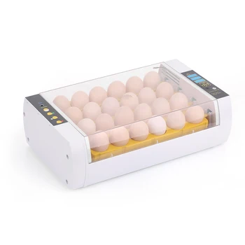 24-Eggs Intelligent Automatic Egg Incubator Temperature Control Hatcher for Hatching Chicken Duck Bird Quail Poultry AC110-220V
24-Eggs Intelligent Automatic Egg Incubator Temperature Control Hatcher for Hatching Chicken Duck Bird Quail Poultry AC110-220V