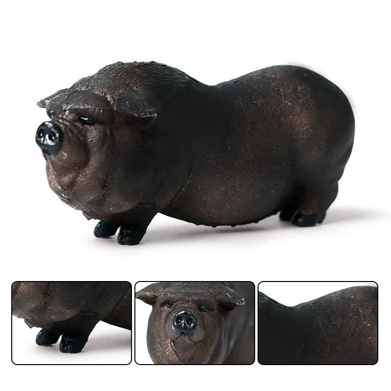 Simulation Wild Animal Toy Vietnam Pig Farm Black Pig Wild Boar Model Solid Static Ornaments
Simulation Wild Animal Toy Vietnam Pig Farm Black Pig Wild Boar Model Solid Static Ornaments
