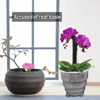 Hot Beauty Control Root Basin Fleshy Flower Pot Transparent Ocean Blue Special Basin Breathable Resin Plastic Home Gardening De
Hot Beauty Control Root Basin Fleshy Flower Pot Transparent Ocean Blue Special Basin Breathable Resin Plastic Home Gardening De
