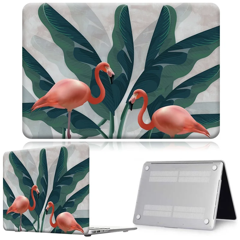 Flamingo019