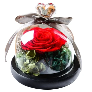 First Flower Rose in Glass Flasks Receive Immortal Flower in Glass Cover Romantic Gift for Lovers Birthday Gifts
First Flower Rose in Glass Flasks Receive Immortal Flower in Glass Cover Romantic Gift for Lovers Birthday Gifts