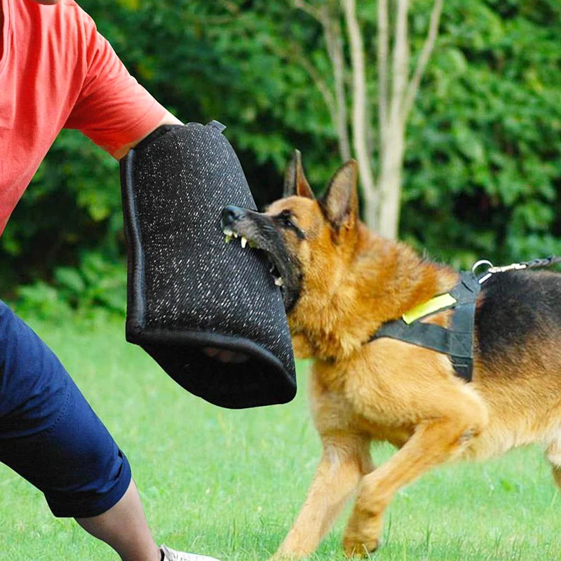 Bite Resistant Dog Training Arm Protection Sleeve Universal Medium Large Dogs Repeller Goods Agility Pet Exercise Equipment Item
Bite Resistant Dog Training Arm Protection Sleeve Universal Medium Large Dogs Repeller Goods Agility Pet Exercise Equipment Item