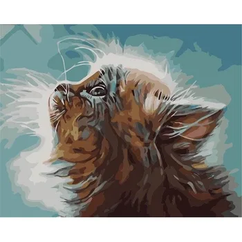 Picture by numbers Premium: Kitten dreams
Picture by numbers Premium: Kitten dreams