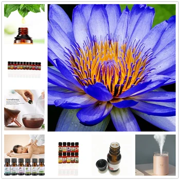 Ball Moss Essential Oil for Aromatherapy Tea Tree Orange Rose Peppermint Patchouli Lemongrass 100% Pure Spa Massage Oil 10ML
Ball Moss Essential Oil for Aromatherapy Tea Tree Orange Rose Peppermint Patchouli Lemongrass 100% Pure Spa Massage Oil 10ML