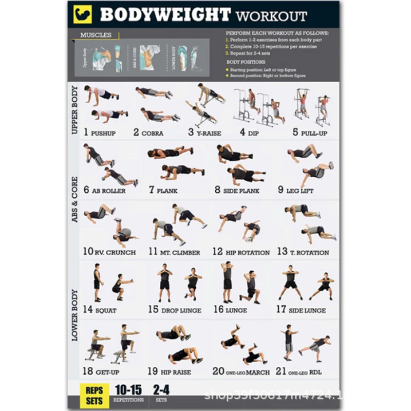 PQZATX Bodyweight Exercise Poster Set Laminated 2 Chart Set Men and Women Body Weight Workouts for Home GYM Fitness