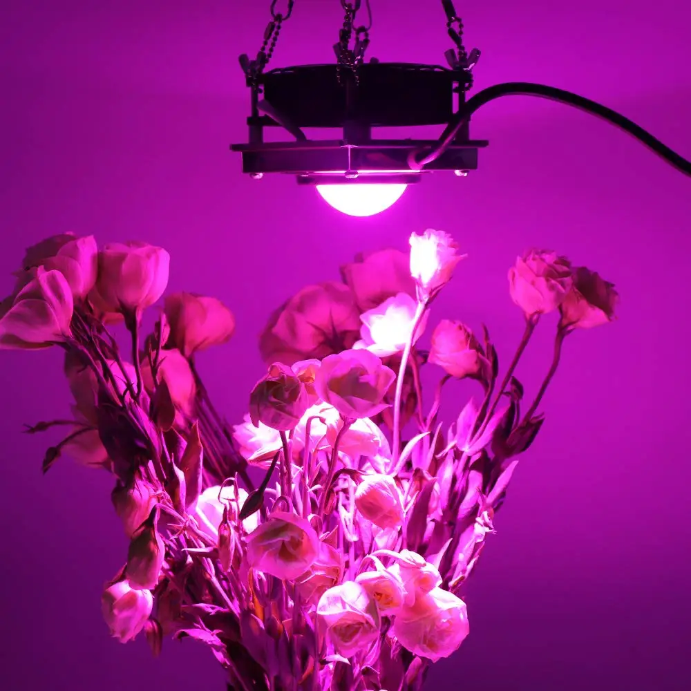 3000W 100 LED Grow Light Full Spectrum Veg Flower Indoor Plant Lamp Panel Kit