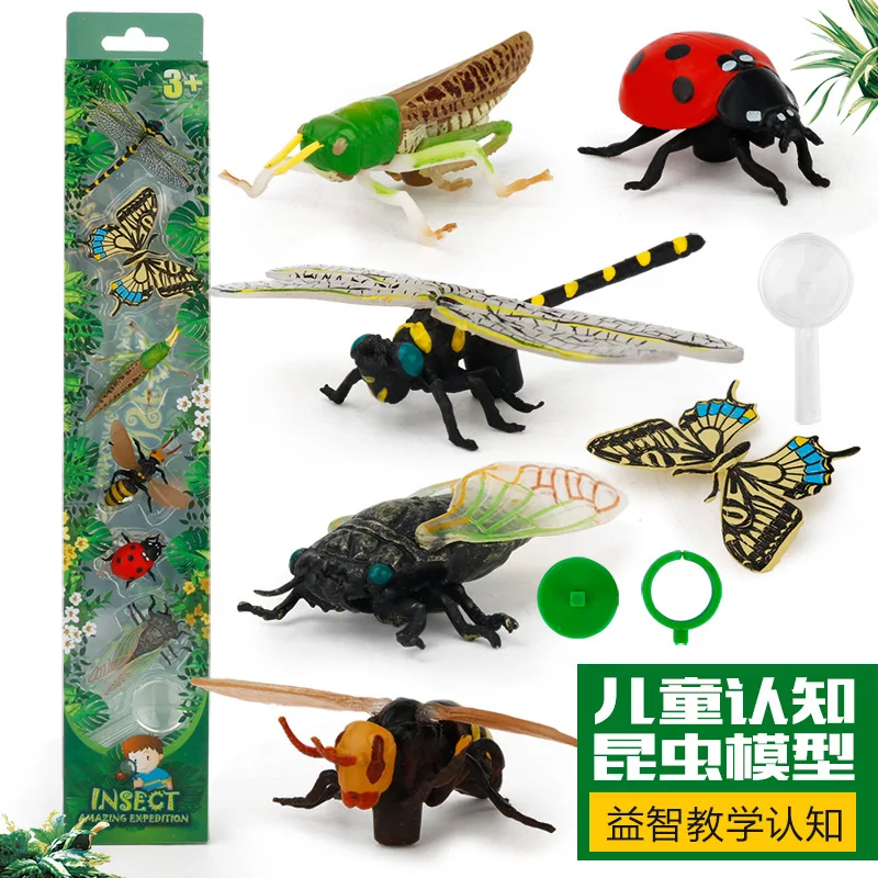 Educational Learning Popularization of Science Toy Multi-Model Insect Animal Furnishings Sand Table Scene Science Cognitive Mode
Educational Learning Popularization of Science Toy Multi-Model Insect Animal Furnishings Sand Table Scene Science Cognitive Mode