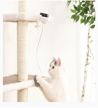 Dropshipping Electronic Motion Cat Toy Teaser Toy Yo-Yo Lifting Ball Electric Flutter Rotating Interactive Puzzle Smart Pet Ball
Dropshipping Electronic Motion Cat Toy Teaser Toy Yo-Yo Lifting Ball Electric Flutter Rotating Interactive Puzzle Smart Pet Ball